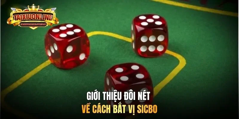 Giới thiệu đôi nét về cách bắt vị sicbo